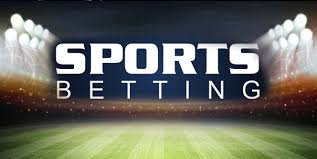 The Future of Wagering Understanding meda bet