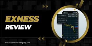 Complete Guide to Exness Terminal Download 12