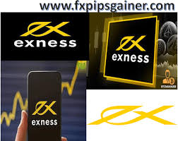 Understanding Exness Forex Broker A Comprehensive Overview